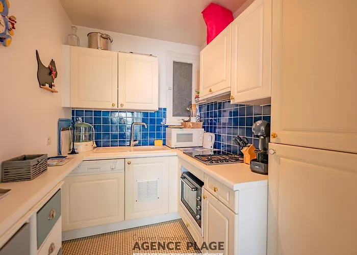 Face Avec Balcon Et Cuisine Equipee - Fr-1-197-581